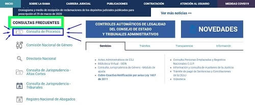 consulta judicial