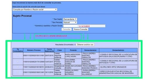 datos consulta judicial