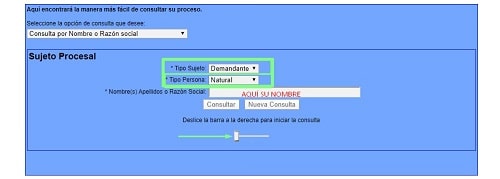 consulta sujeto procesal