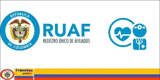 consulta ruaf